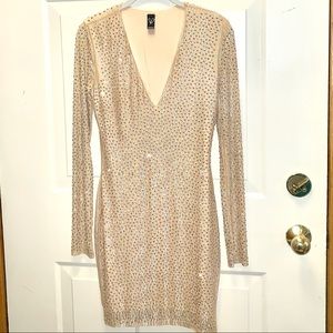Windsor Bodycon Dress NWOT Nude Sarkle, Gorgeous!!